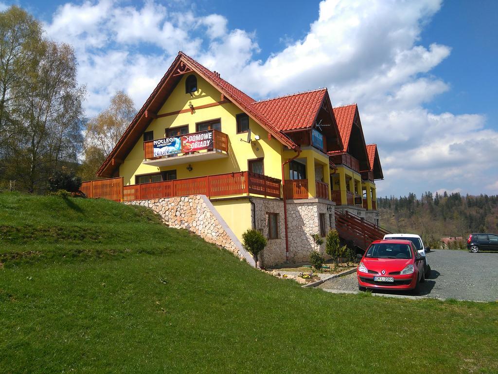 Pensjonat Zielone Wzgórze Bolesławów Stronie Śląskie Exterior foto